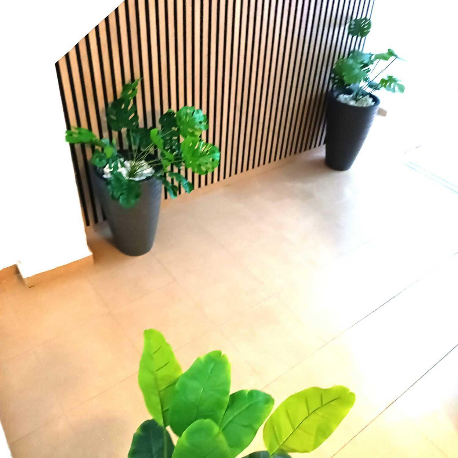 Apartamentos Larios 말라가 외부 사진